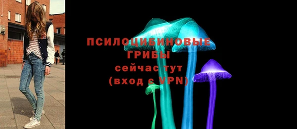 крисы Арсеньев
