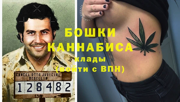 крисы Арсеньев
