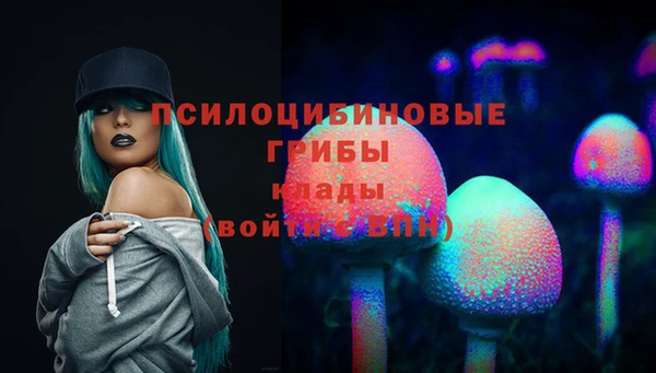дурь Армянск