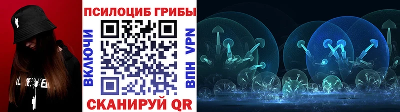 даркнет Telegram  Калязин  Псилоцибиновые грибы Psilocybine cubensis  hydra ссылка 