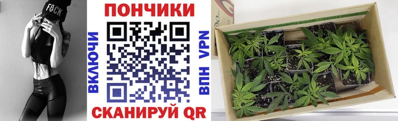 Марихуана индика Калязин